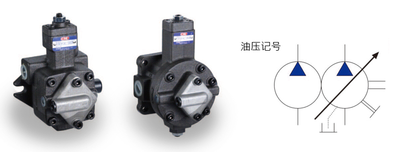 Variable vane pump